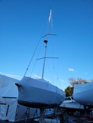 31' Hanse 2023 Yacht For Sale